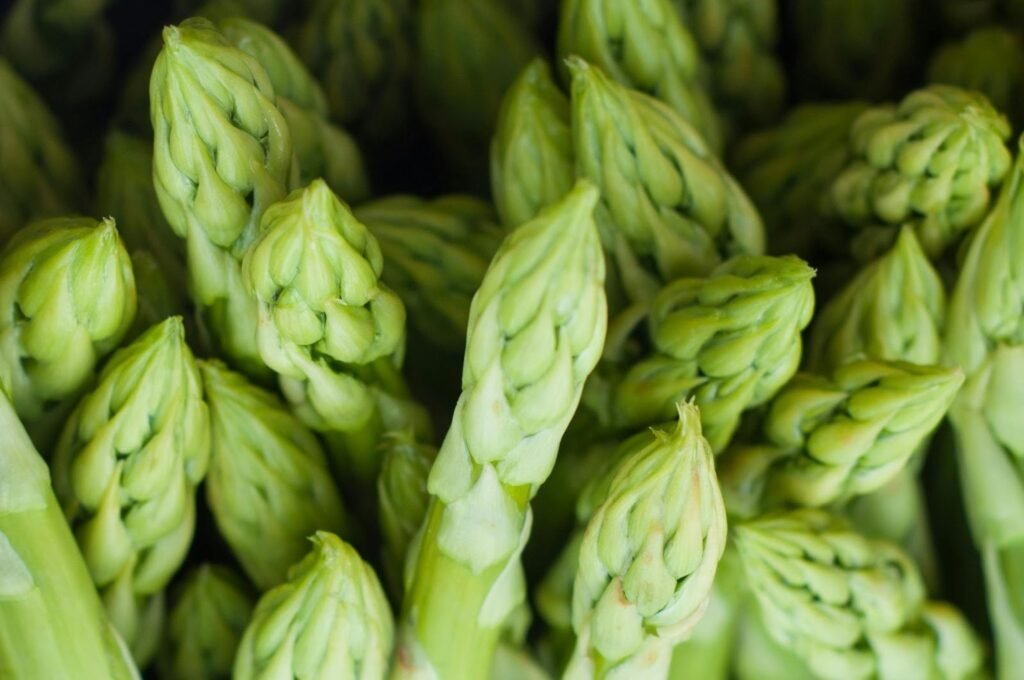 Asparagus is the right garden plant for full sun.
