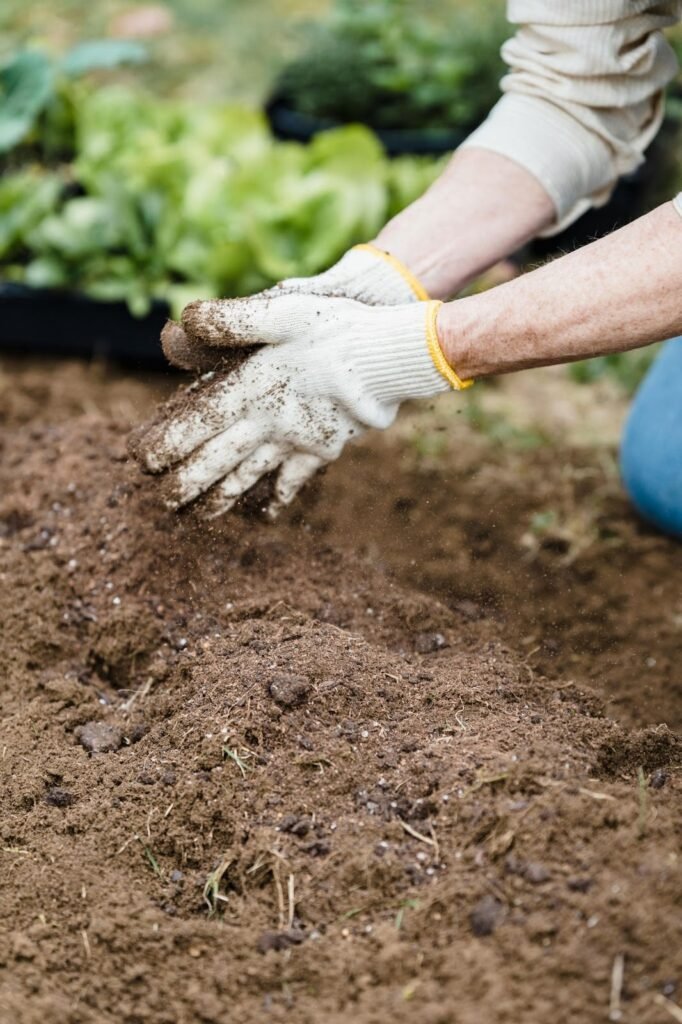 Check your soil type when you site a garden.