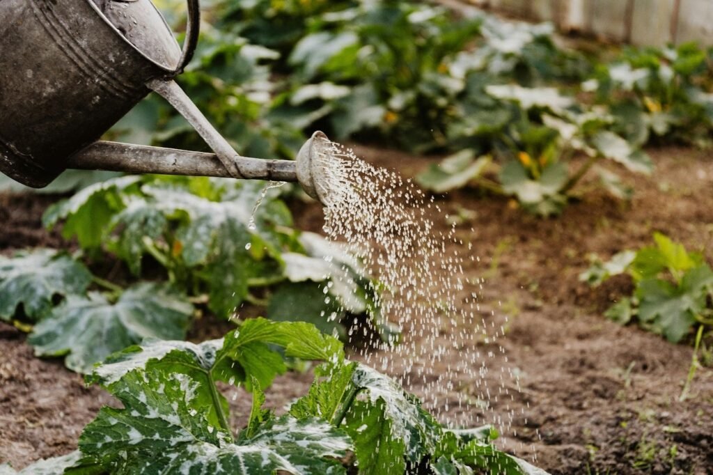 Access to water to fill a watering can is important for any garden.