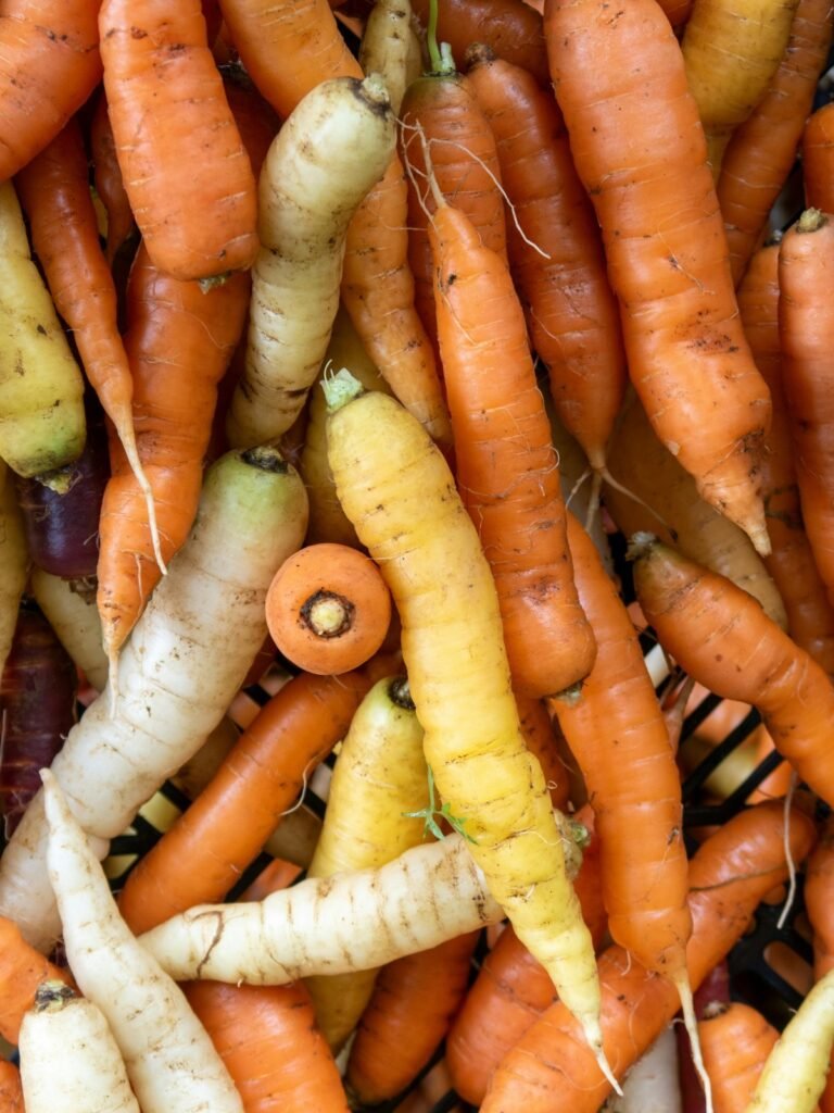 Carrots. These are an easy plant for beginners