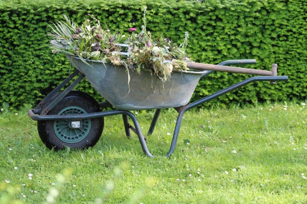 Prepare Your Winter Garden by cleaning out dead leaves and debris like this
