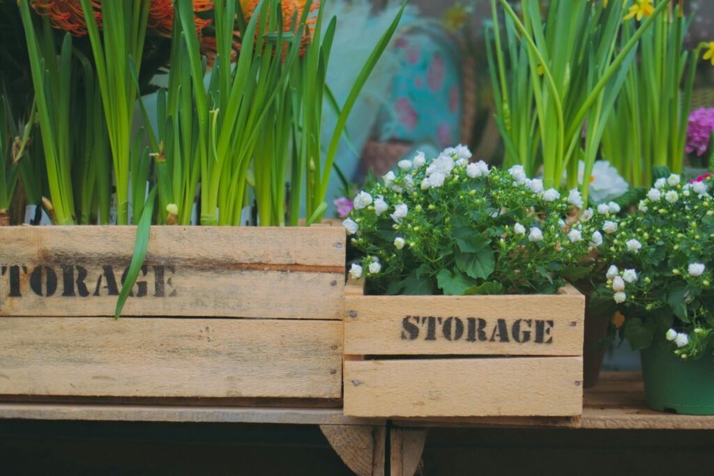 Wooden crates are unique containers for plants.
