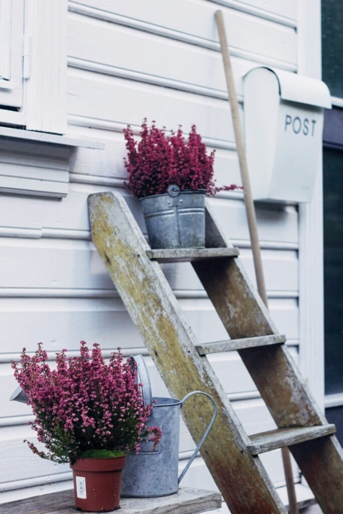 Old ladder with plant pots can hold unique containers.