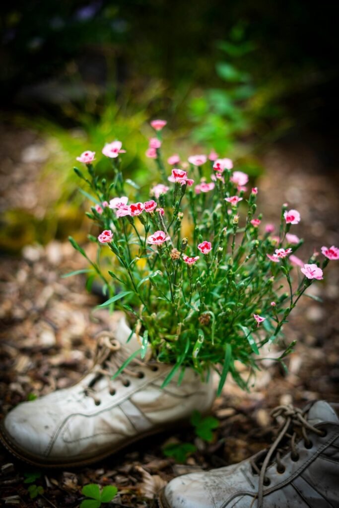 Old shoes can hold plants. They're a unique container.