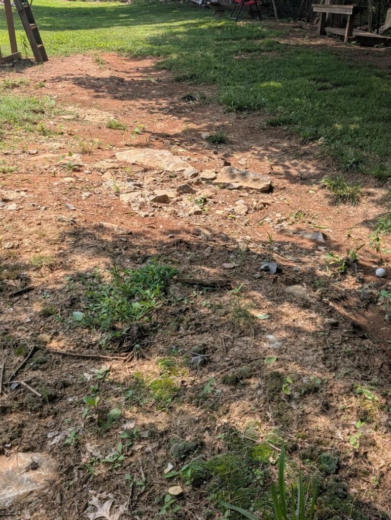 Assess your property's problem areas like eroded soil.