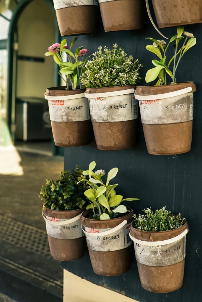 growing herbs and spices on a wall
