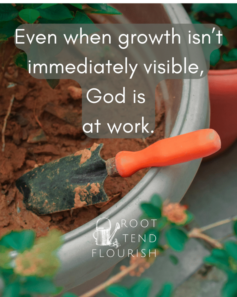 Cultivating quote in a bucket