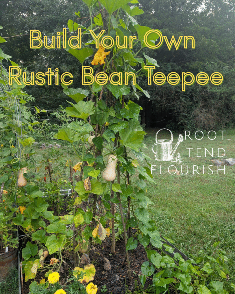 How to Make a Rustic Bean Teepee from the Woods