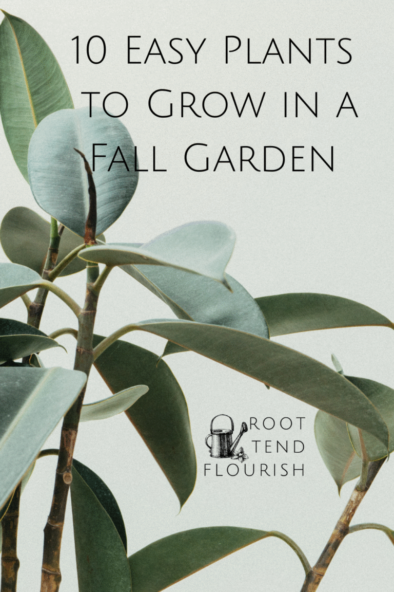10 Easy Plants to Grow in a Fall Garden 