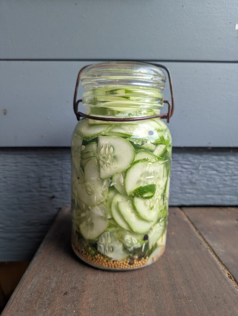 Jar of refrigerator pickles.