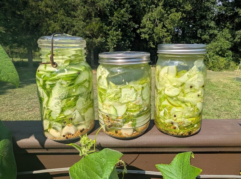 row of 3 jars of refrigerator pickles.