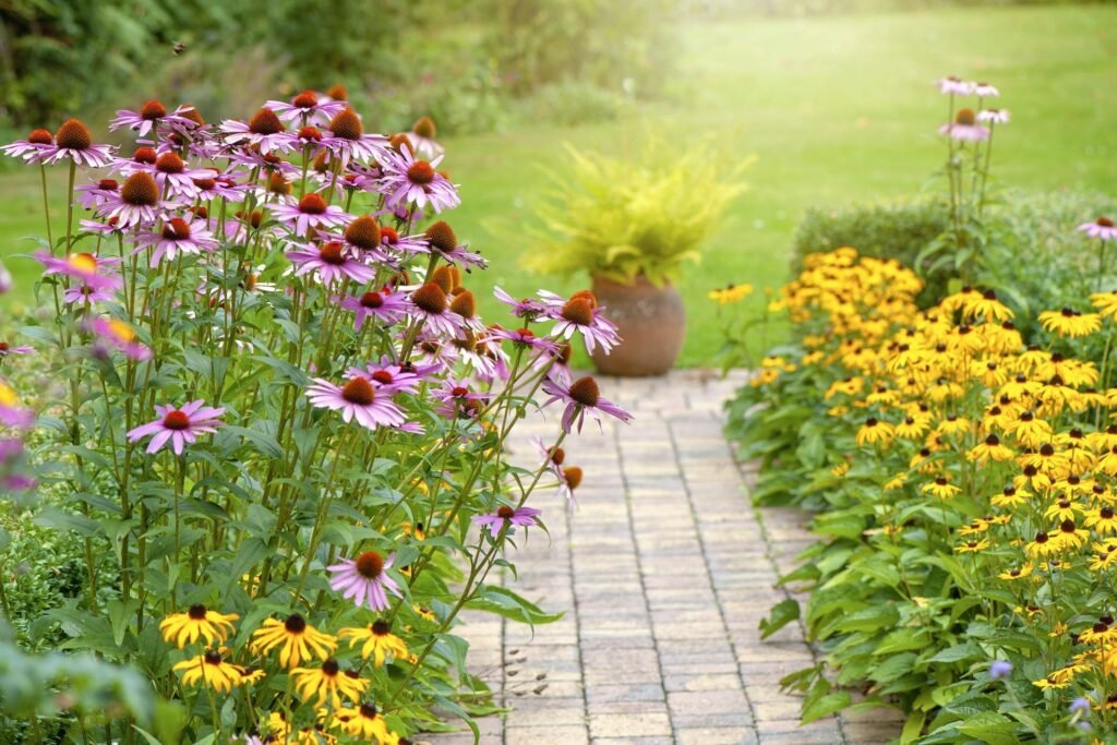 Cut most perennials for winter but leave black eyed susan.