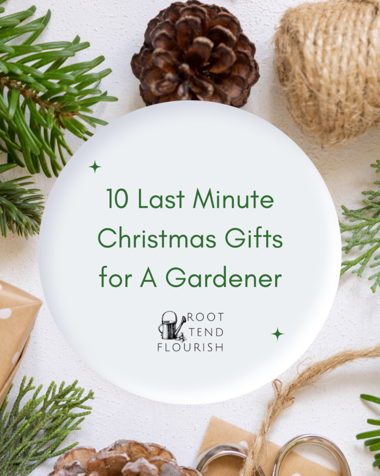 10 Last Minute Christmas Gifts for A Gardener