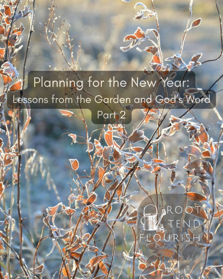 Planning for the New Year: Lessons from the Garden and God’s Word: Part 2 