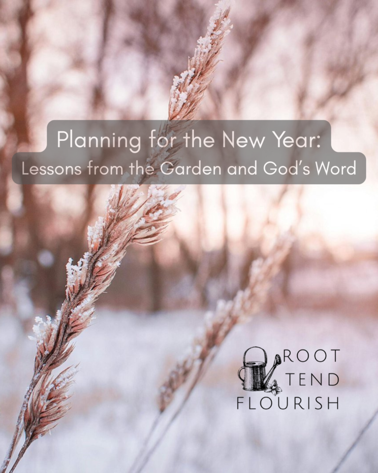 Planning for the New Year: Lessons from the Garden and God’s Word Part 1