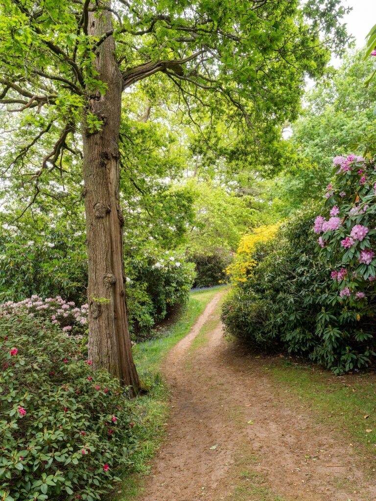 This path shows the basic garden design principle of layers.