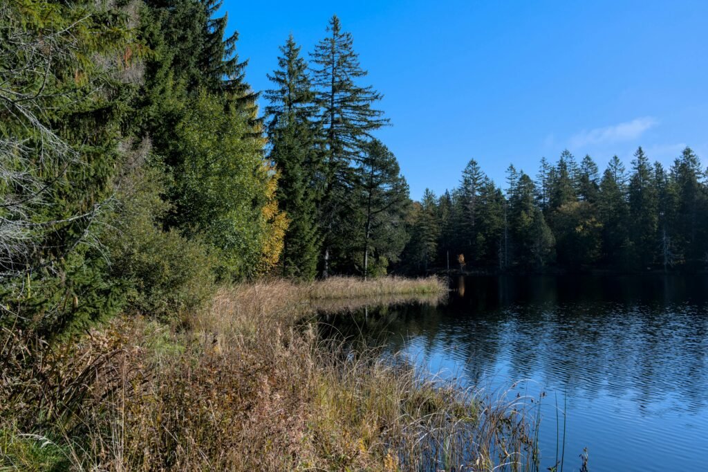 pexels-jean-paul-wettstein-677916508-19900780