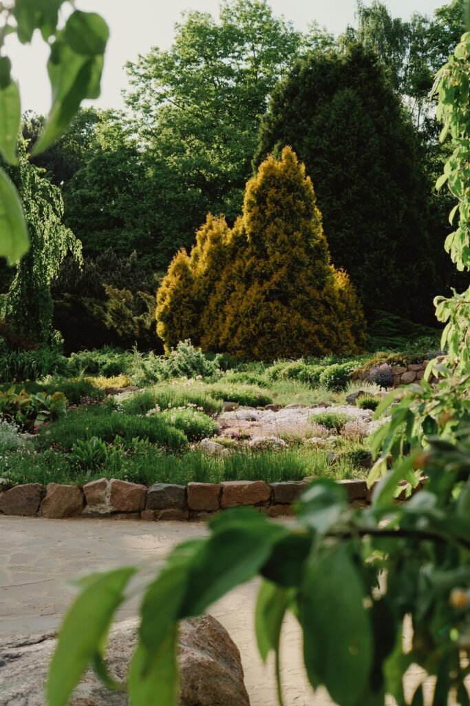 A conical shape is an important part of basic garden design principles. 
