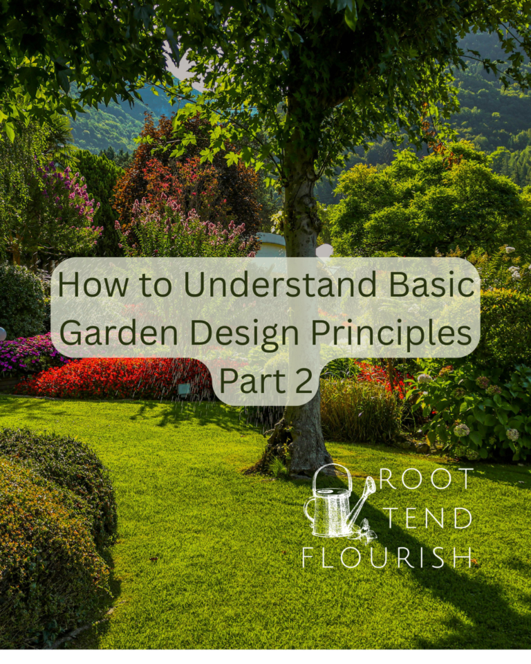 How to Understand Basic Garden Design Principles: Part 2