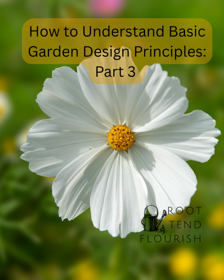 How to Understand Basic Garden Design Principles: Part 3 