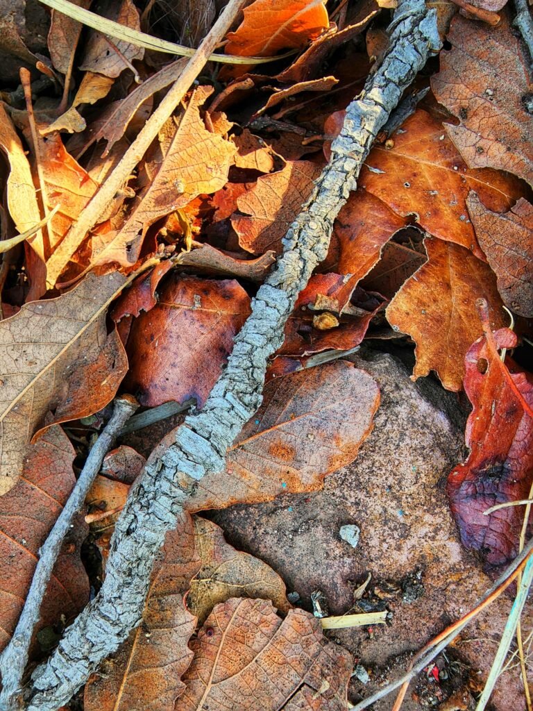 the easy way to compost uses leaves and twigs