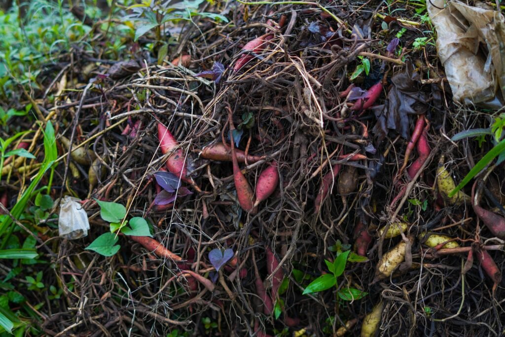 Build layers of brown and green for the easy way to compost is simple.