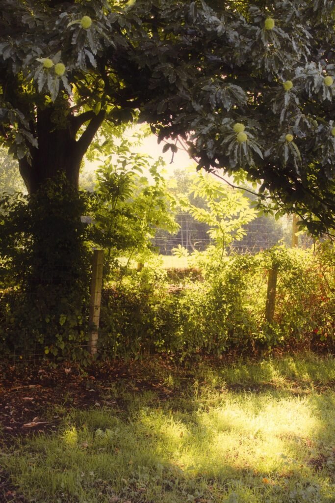 put your pile in the shade for the easy way to compost.
