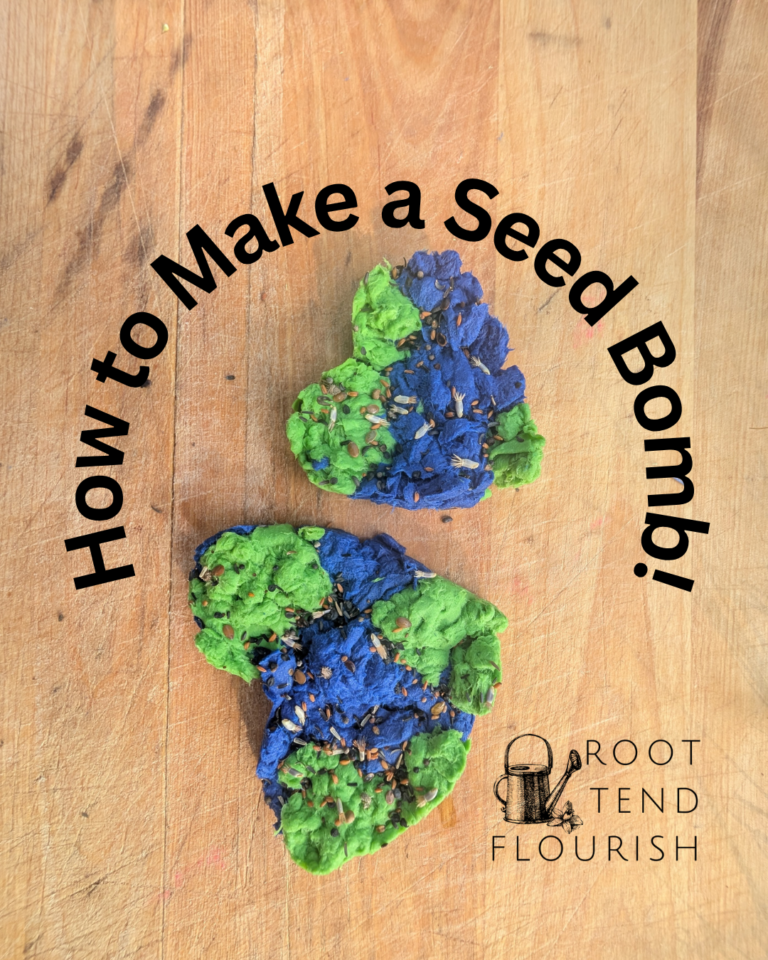 How to Make Garden Seed Bombs