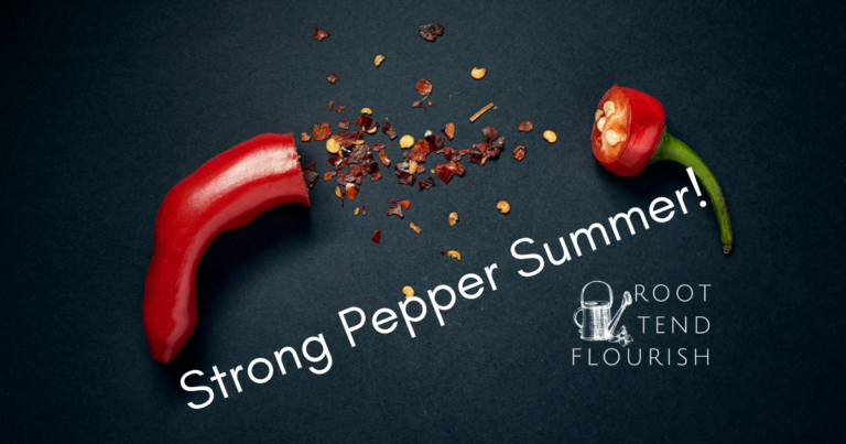Are You Having a Strong Pepper Summer?