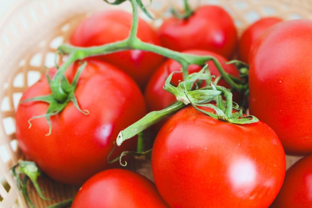 fresh garden tomato sauce brings garden freshness to a winter kitchen