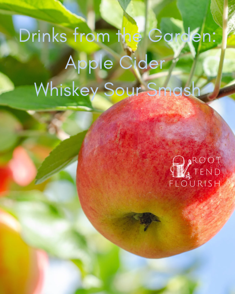 Drinks from the Garden: Apple Cider Whiskey Sour Smash